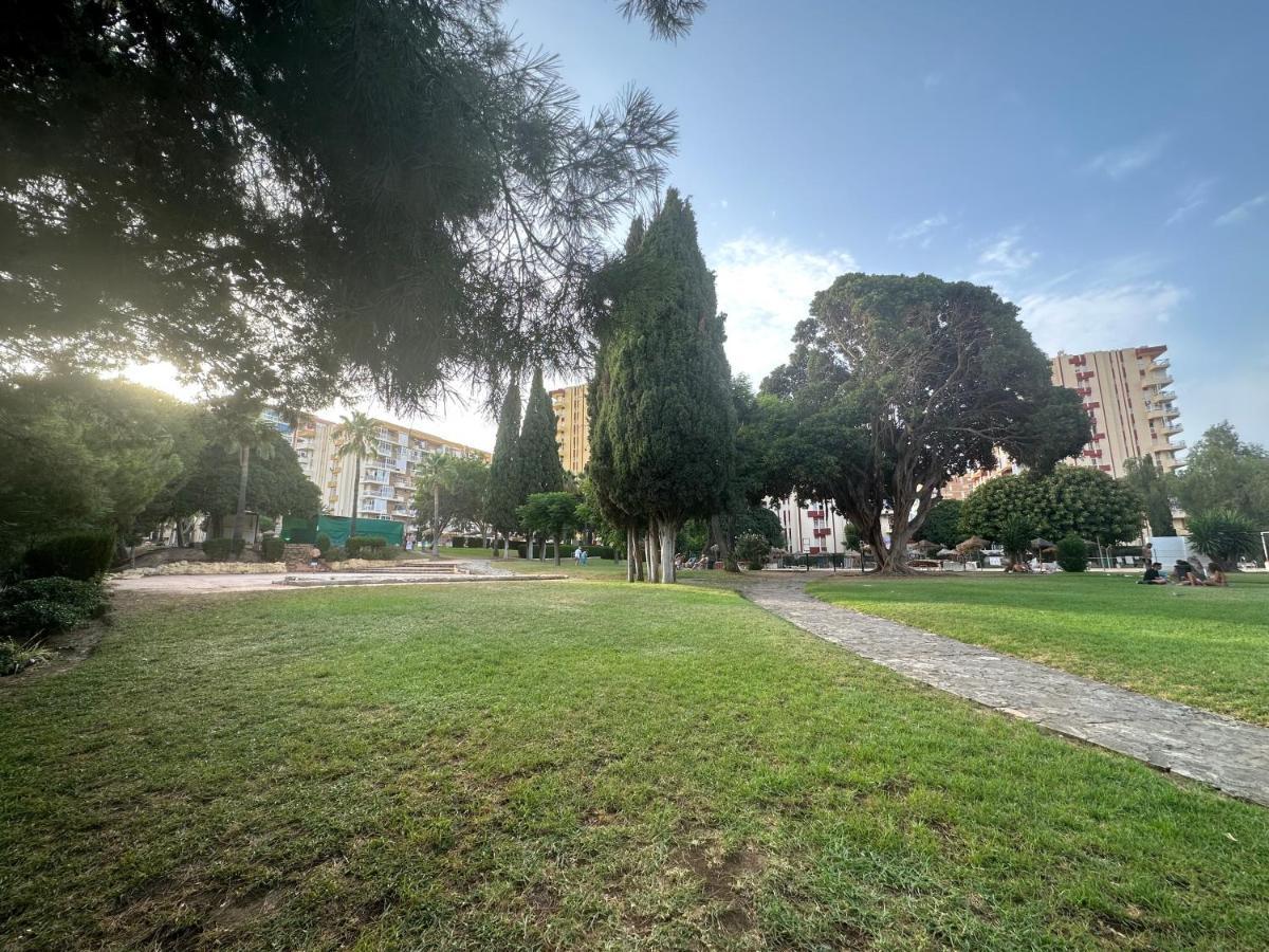Appartement En *